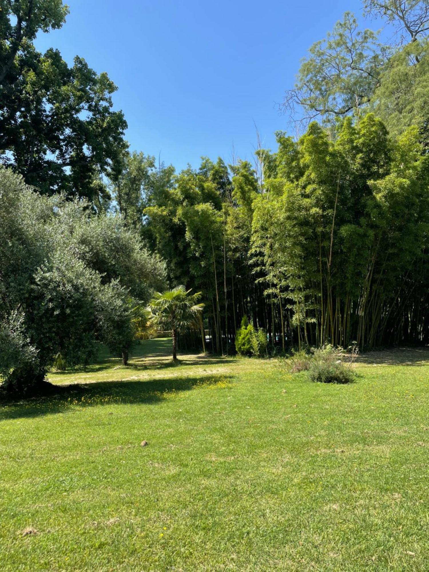 La Rebiere D'Or, B&B Et Gite Mouleydier Bagian luar foto
